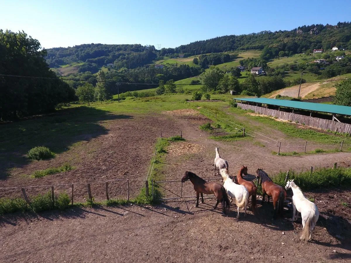 ファームステイ オイアルツン Agroturismo Anziolaヴィラ スペイン